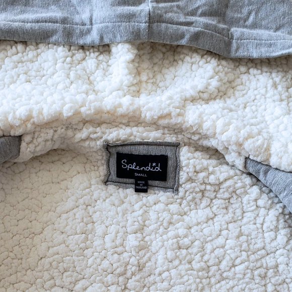 Splendid Sherpa Faux Shearling Hoodie - Picture 3 of 4